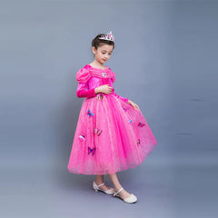 Cinderella Long Sleeve Dress & Elsa Princess Dress