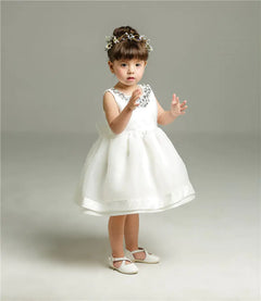 Full Moon, Birthday, Wedding Dress, Princess Dress