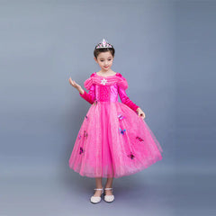 Cinderella Long Sleeve Dress & Elsa Princess Dress