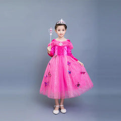 Cinderella Long Sleeve Dress & Elsa Princess Dress