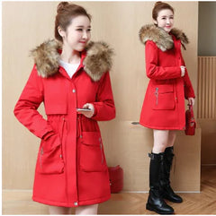 Winter Coat, Cotton Jacket, Women's Outerwear