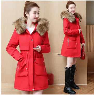 Winter Coat, Cotton Jacket, Women's Outerwear