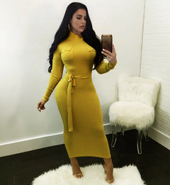 Chic Long Sleeve Wool Dress