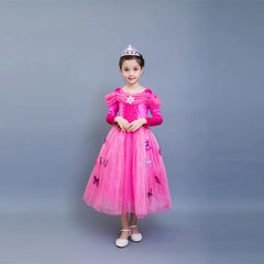 Cinderella Long Sleeve Dress & Elsa Princess Dress