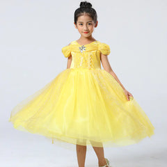 Frozen Princess Dress, Cinderella Performance Kids Dress